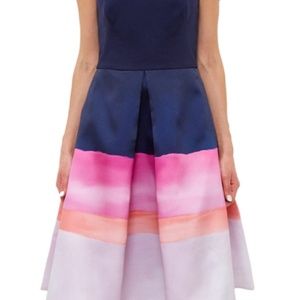 Ted Baker Dress